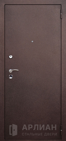 Фото «Железная дверь с порошковым покрытием №21»